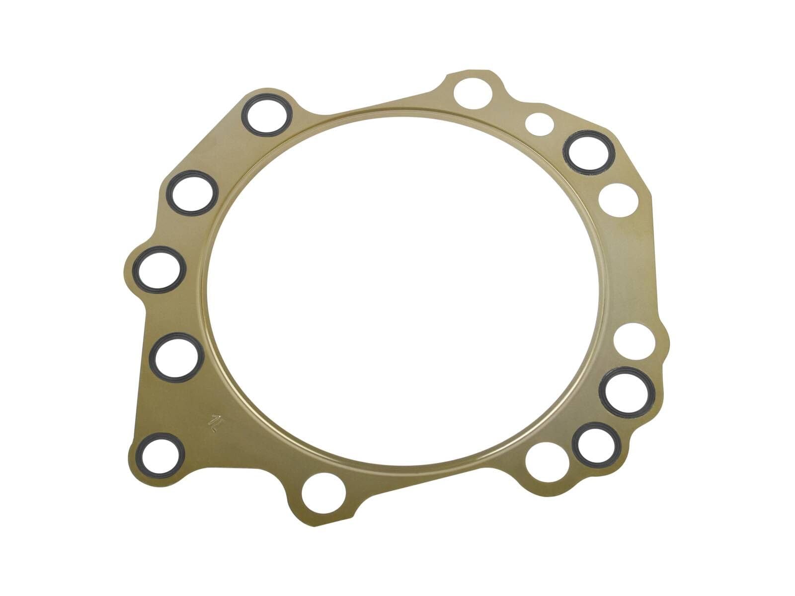 DT Spare Parts 7.51107 Guarnizione testata Compatibilità con IVECO TurboStar, FIAT Series 300, ASTRA HD 7