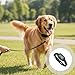 Vestamore Dog Bark Collar, Rechargeable Anti Barking Training with Beep, 0.1S Auto Voice Control, 8-Level Sensitivity, Ce & Fcc Certified, Includes Data Cable, Test Light, Silicone Caps