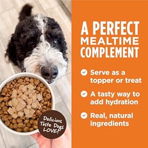 Instinct healthy cravings grain free recipe variety pack natural wet dog food topper by natures variety 3 ounce pack of 12   cucciolini doodles