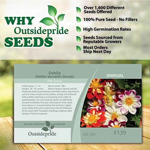 Outsidepride Dahlia Dandy Garden Cut Flower Seed Mix Great For Bouquets & Dried Floral Arrangements - 500 Seeds #TOP3
