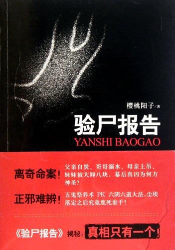  Postmortem Report (Chinese Edition)