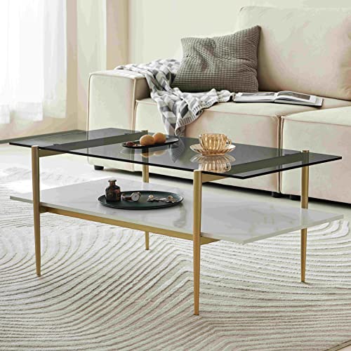 Saint Mossi Tadio Glass Coffee Table,Double Layer Glass Coffee Table For Living Room, Smoky Grey Glass & White Marbleizing Mdf Bottom Shelf, Ta-202206Sm-Wt #TOP27