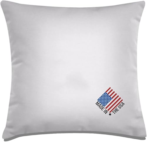 Maizi Inserto de almohada de 16 x 16 pulgadas hipoalergénico forma cuadrada relleno estándar de poliéster blanco cojines decorativos europeos para