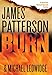 Burn (A Michael Bennett Thriller, 7)