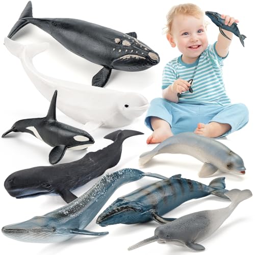 THINKBAY 8PCS Whale Figurines Toys for Toddlers, Realistic Ocean Animals Figures Sea Creatures Toys for Kids Includes Beluga Orca Blue Whale, Birthday...