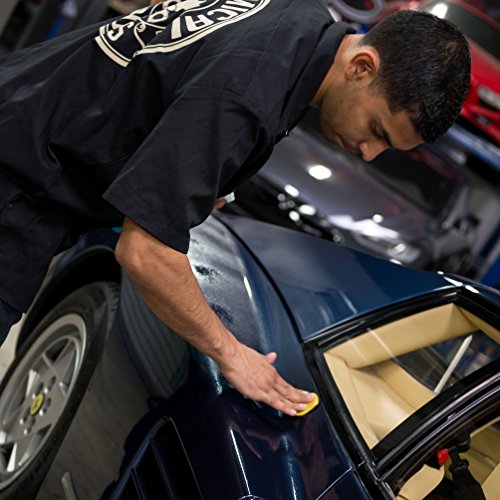 Chemical Guys OG Light Clay Bar : Best Clay Bar for Paint Prep? - Image 6