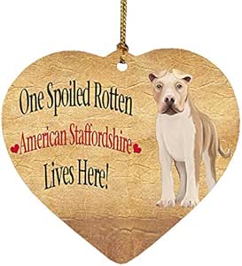 Personalzed Dog Bone Chrstmas Ornament - Etsy España
