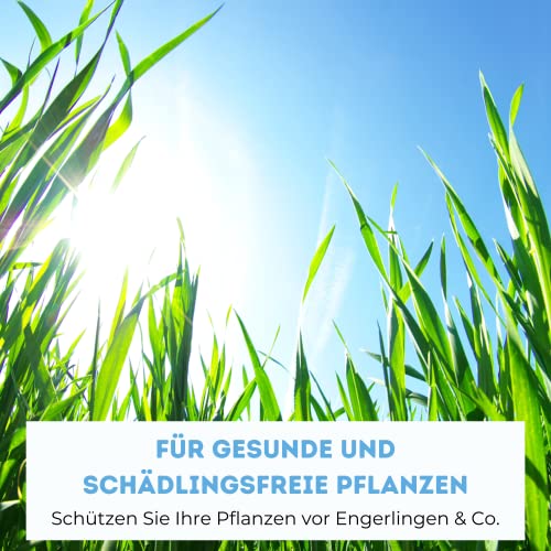 Futeco® – HB-Nematoden gegen Dickmaulrüssler & Engerlinge – für 100m² Fläche – zum einfachen gießen – 100% Biologisch, Chemiefrei & Natürlich – Made in Germany 5