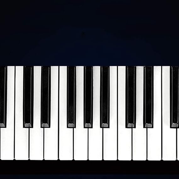 Hand Roll Keyboard, Hand Wind Piano 88 Keys Folding Keyboard MIDI Soft Piano Practice Dual Speaker Electronic Piano Roll Up Piano Color: White, Size: 53.5x20cm