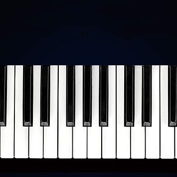 Hand Roll Keyboard, Hand Wind Piano 88 Keys Folding Keyboard MIDI Soft Piano Practice Dual Speaker Electronic Piano Roll Up Piano Color: White, Size: 53.5x20cm
