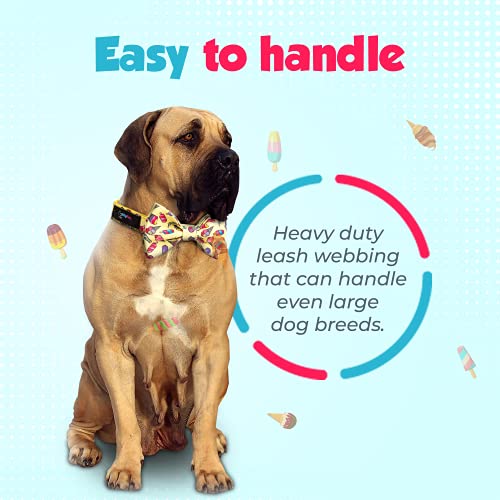 Ollypet Dog Bowtie For Large Dogs Collar And Leash Set Classic Ice Cream Design, Adjustable Dogs Birthday Collar With Removable Bow Tie For Small Medium Dogs (Xl) #TOP7