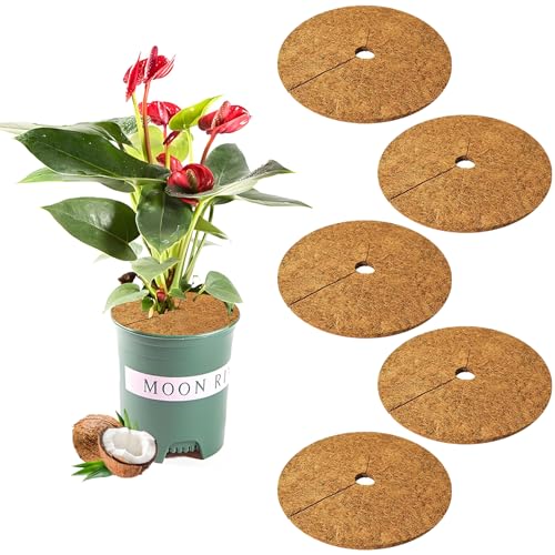 Yixinly 5 Stück 25cm Kokosmatten, Kokosscheibe Winterschutz Kokosfasermatte Kokos Pflanzenschutz, Kokosscheibe Für Pflanzen, Nachhaltig Pflanzenschutz Ganzjähriger Topfschutz Pflanzen Winter