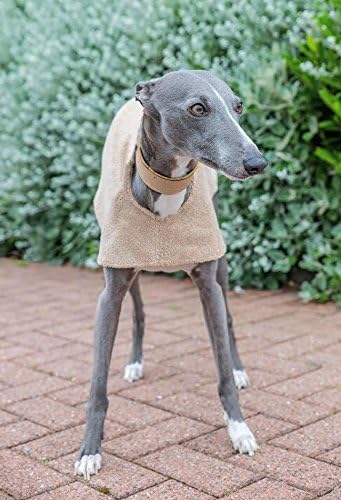 greyhound cool coat