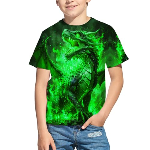 Kids 3D Print Graphic Tees Funny Fire Dragon Short Sleeve T Shirts for Youth Boys Girls 4-14 Years (US, Age, 7 Years, 8 Years, Loo-05)