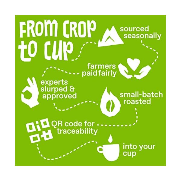 Ethical Bean Fairtrade Organic Coffee, Classic Medium Roast, Ground Coffee Beans - 100% Arabica Coffee (8 oz Bag), 0.5 Pound (Pack of 1)