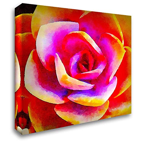 ArtDirect Bolick, Vicki Gladle - EX_47_140617Z - Succulente XII