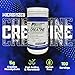 Performance Inspired Nutrition Micronized Creatine Monohydrate – 100% Pure, Unflavored, No Fillers – Supports Muscle Growth & Recovery – 1.1 lb