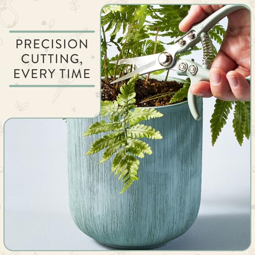 Modern Sprout Pruning Shears, Herb Snipping Scissors, Lightweight Gardening Tools W/Easy Lock, Flower Cutter Garden Shears, Carbon Steel Blade + Reusable Holster (Green, 1-Pack) - Image 3