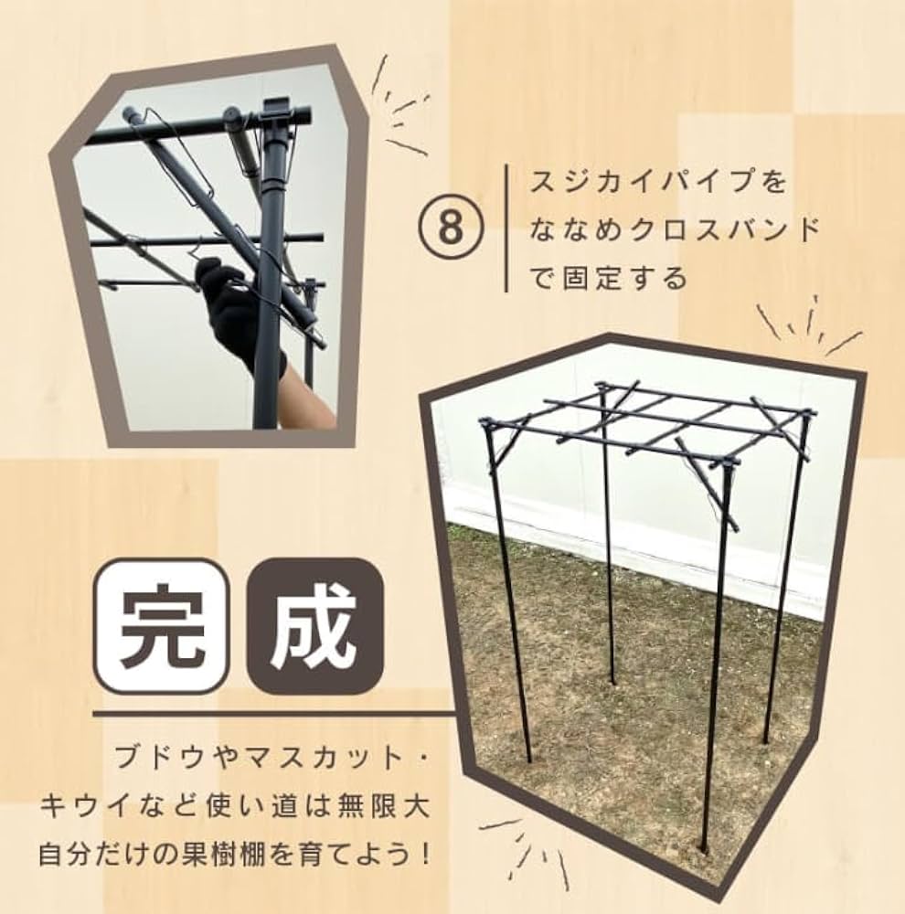【はまゆう‼️】【美品❣️】くだもの棚セット 葡萄棚　藤棚　キウイ棚 Amazon | くだもの棚セット キウイ棚 ぶどう棚 頑丈 葡萄棚 園芸