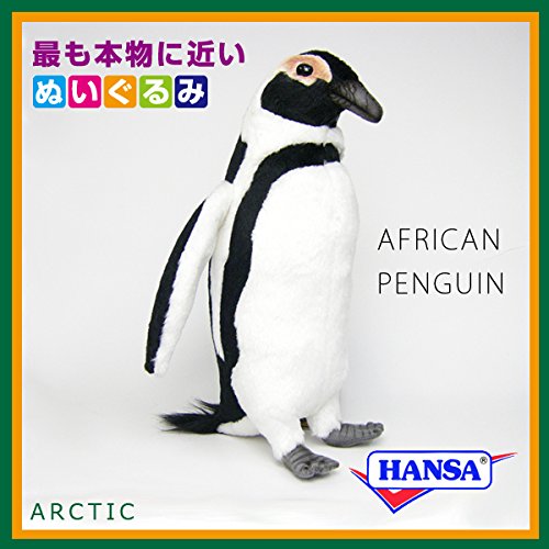 Amazon.co.jp: HANSA ハンサ ぬいぐるみ 7084 ケ－プペンギン 21