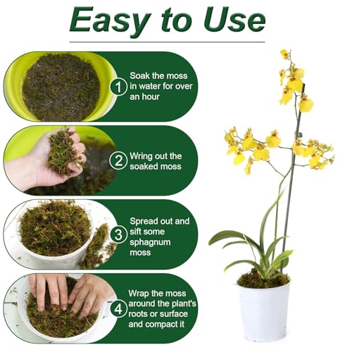 200g Sphagnum Moos für Pflanzen, Spaghnummoss für Orchideen, Terrarium Moos mit 6 Gelbsticker Trauermücken, Torfmoos zum Orchideen- und Farnzucht