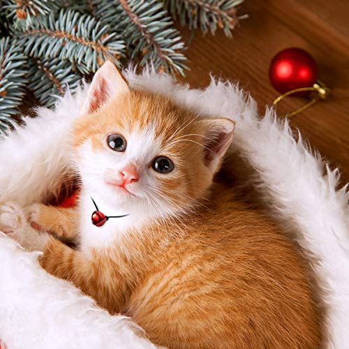 Christmas Bells, 300 Pieces Craft Bells, Diy Bells For Wreath, Holiday Home And Christmas Decoration (Multi-Color, 0.3/0.4/0.47 Inch) #TOP4