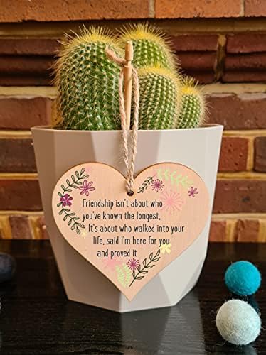 The Plum Penguin Handmade Wooden Hanging Heart Plaque Gift Friend Here To Stay Friendship Wall Hanger Colleague Present Card Alternative