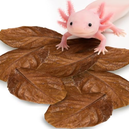 SunGrow 10 Pack Axolotl Indian Almond Leaves for...
