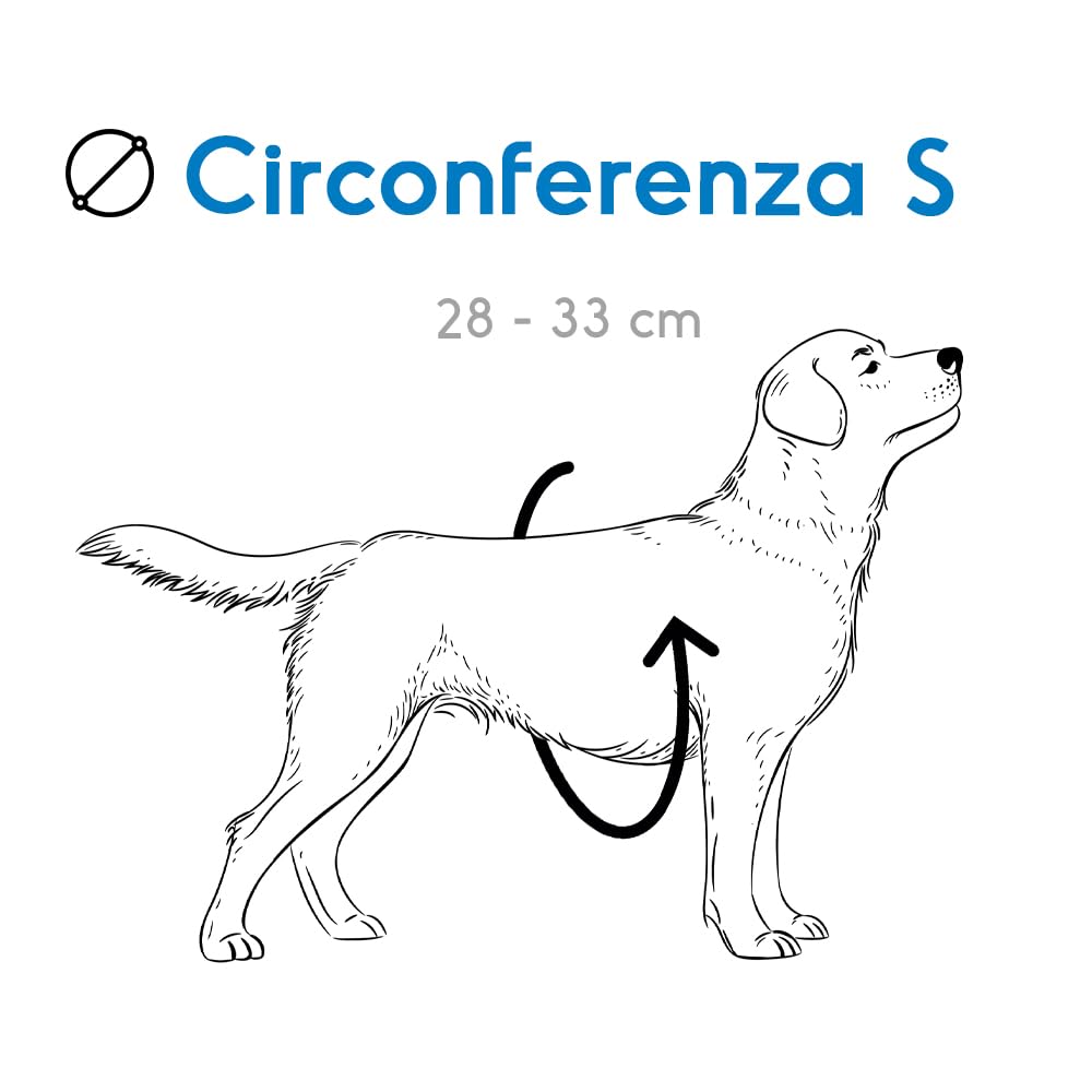 Record, Fast Dog Harness, Made of Soft, Flexible and Breathable Nylon, Metal Leash Attachment, Black, Size S - Image 3