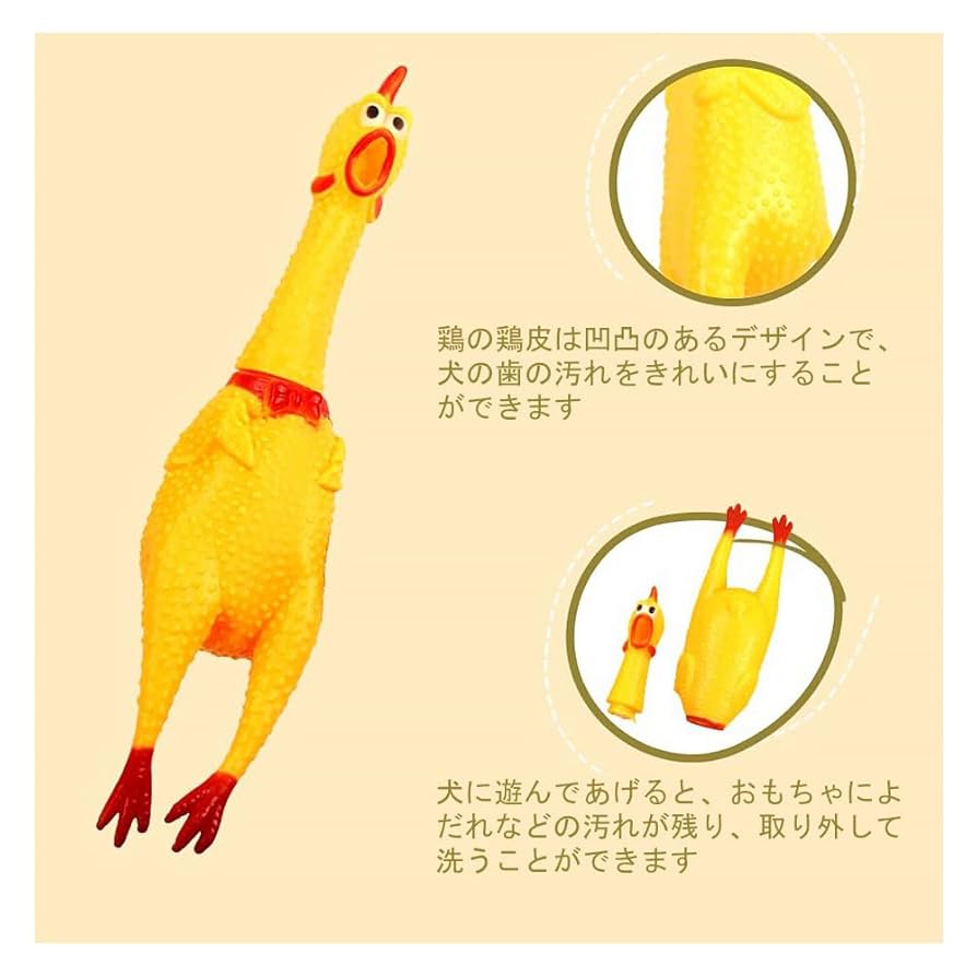 Amazon | bardsxgfg(あき) 2個セット チキン おもしろ にわとり