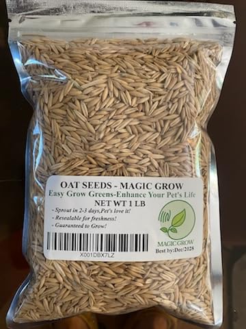 Oat Seeds 1 Lb (3000+ Seeds)- Cat,Dog,Pets- Oat Grass Seeds