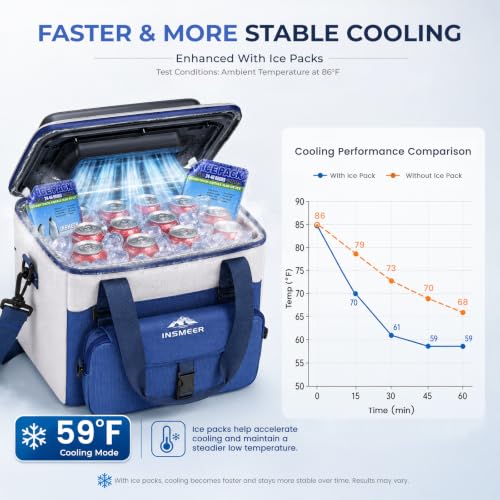 INSMEER 20L Electric Cooler