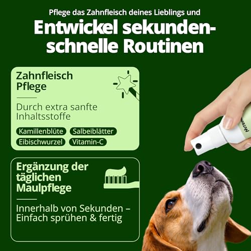 NUTRIMINS Dentalspray für Hunde 100ml – Speziell für Hunde entwickelte Zahnpflege, hergestellt von Experten in Deutschland – Sanftes Zahnspray zur Unterstützung bei Zahnbelag, Mundgeruch & Zahnstein