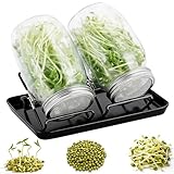 LEBOKJ Sprossen Keimglas 2er Set – Komplettset mit 2 Gläsern, Edelstahl-Siebdeckeln (304), 2 Standringen & schwarzer Wasserschale für Keimung von Alfalfa, Brokkoli, Mungobohnen & mehr