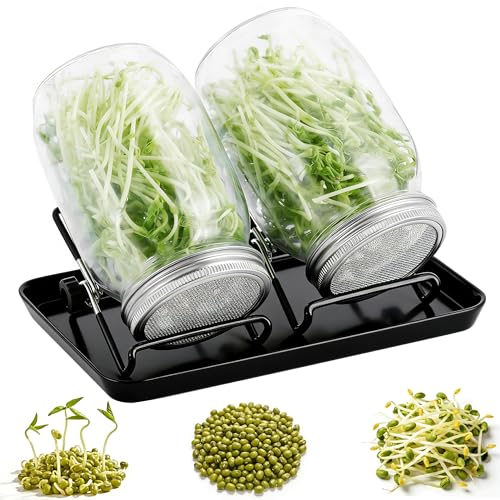 LEBOKJ Sprossen Keimglas 2er Set Komplettset mit 2 Gläsern Edelstahl-Siebdeckeln (304) 2 Standringen & schwarzer Wasserschale für Keimung von Alfalfa Brokkoli Mungobohnen & mehr
