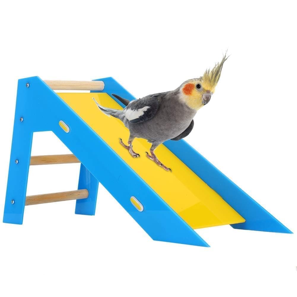 Perroquets Escalader Les Échelles De Toboggan Puzzle Fournitures De Jouets De Formation De Compétences Interactives, Échelle d'escalade en Bois, Toboggan en Acrylique