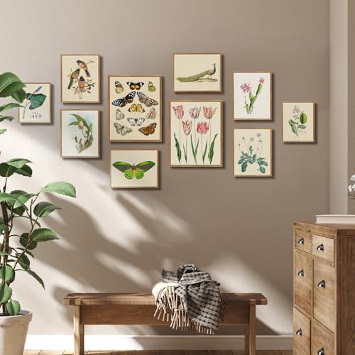 crmotu Botanical Framed Wall Art, Green Leaf Canvas Art Prints, Nature Plant Study Vintage Pictures, Minimalist Rustic Farmhouse Wall Decor, Bedroom Kitchen Desktop Bathroom Decorations, 8x10inch