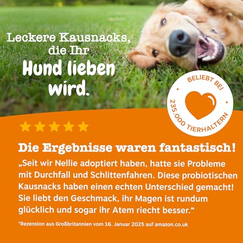 Zesty Paws Hunde Prä, Post & Probiotika als Leckerli, 90 Snacks