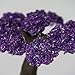 The Protection Tree - Medium Genuine Amethyst Clustered Gemstone Tree on Amethyst Matrix