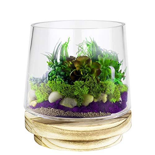 Buy Plant glass terrarium In Pakistan Plant glass terrarium Price