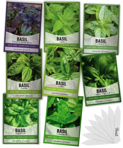 Basil Seeds for Planting Home Garden - 8 Variety Herb Pack Genovese, Large Leaf, Lemon, Thai, Lime, Cinnamon, Sweet and Purple Opal Basil Packets Herb Seeds for Indoors & Outdoors by Gardeners Basics