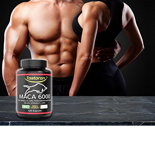 Tostoron MACA 6000 hochdosiert - hol dir jetzt den TOSTORON HAMMER direkt nach Hause! 120 Kapseln + Tribulus, Pinienrindenextrakt, Vitamin C, Selen, Zink - laborgeprüft - 1 Dose (1x100g) dein Antrieb! – Bild 3