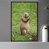 Framed Canvas Wall Art Squirrel Animals Fun Living Room Multicolor Photography Rustic Squirrel - 16x24 inches