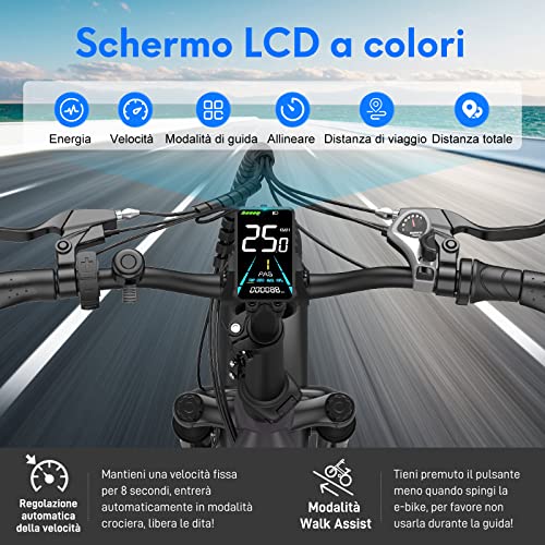 Fafrees 2*Batterie Bici Elettrica, Bici Elettrica