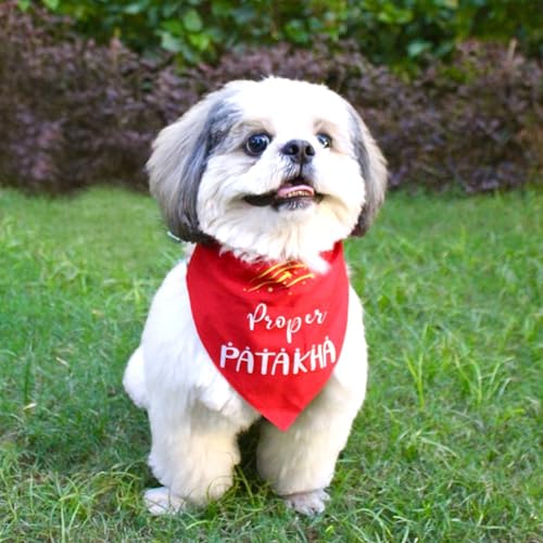 Image of Quirky Dog Bandana: Proper Patakha Bandana for Pets | Easy to Wear Slip On Dog Bandana