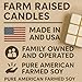 Farm Raised Candles – Farm Fresh - American Soy Wax Melts - Fall Wax Melts Variety 1 LB Bundle (5 Packs, 16 oz) – Hand-Poured Soy Wax Cubes – Apple, Cinnamon, Pumpkin, Pecan Waffles
