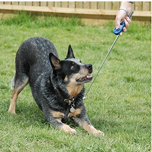 COMPANY OF ANIMALS Multi-Clicker, Hundezubehör, Lautstärkeregler mit 3 Stufen, verstellbare Handschlaufe, Hundeclicker, zum Hundetraining, auch für geräuschempfindliche Hunde und Welpen.