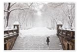 Winter im Central Park Poster 60 x 40 cm Wandbilder 