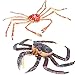 Gemini&Genius King Crab and Spider Crab Toys Set, Marine Animals Toys Sea Animal Action Figures Gift Great for Educational, Cake Topper, Swim, Bath Toys, Stocking Stuffers for Kids
