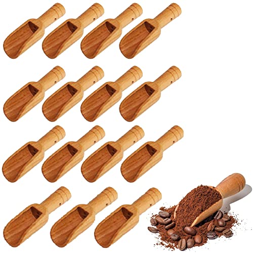 15 Pezzi Mini Cucchiaio in Legno,Cucchiaio da Tè